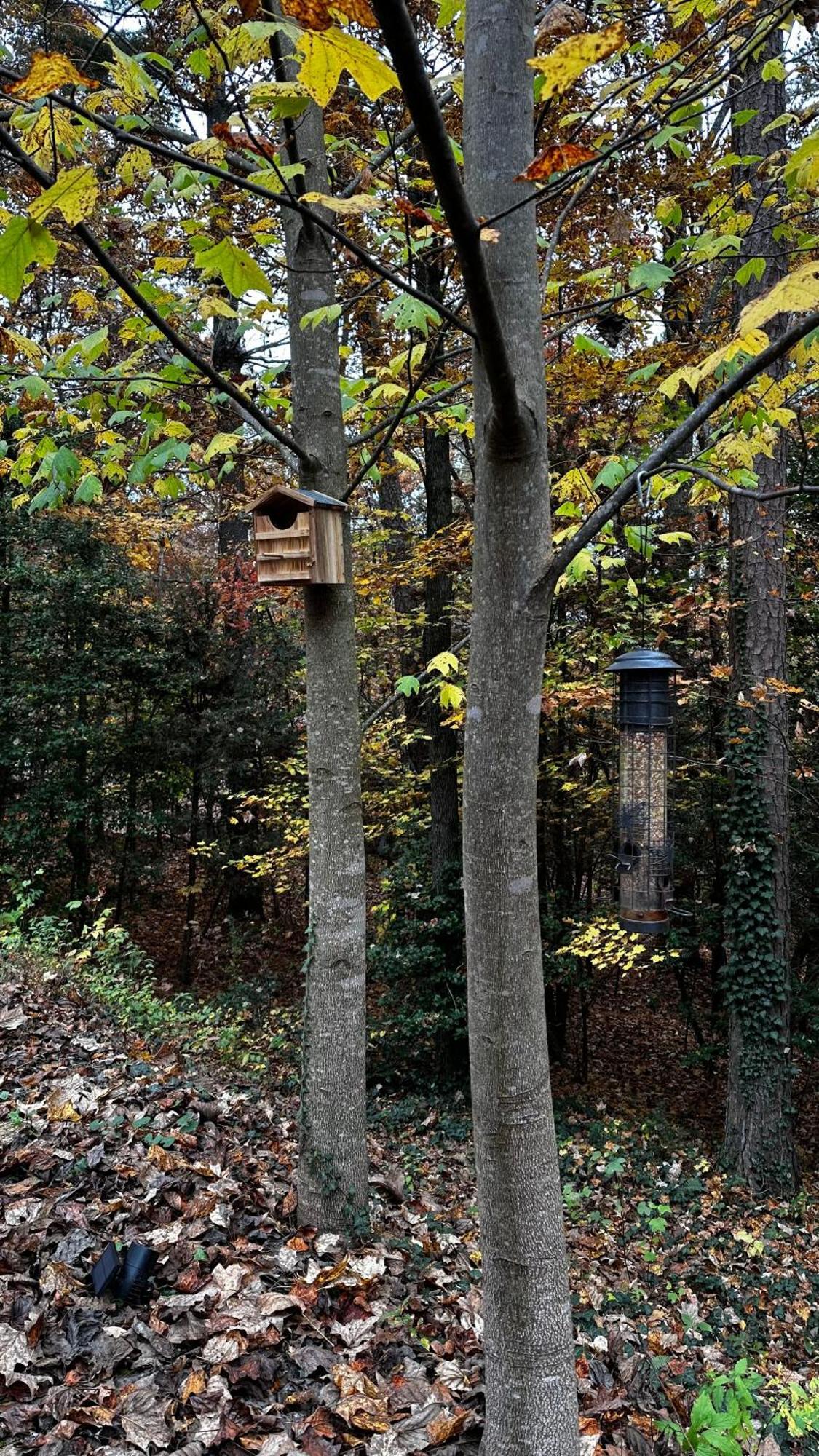 Appalachian Mountain Cabin-Updated-Private-Rafting On Ocoee River-Hiking-Waterfalls-Wifi-Pets Ok Мърфи Екстериор снимка
