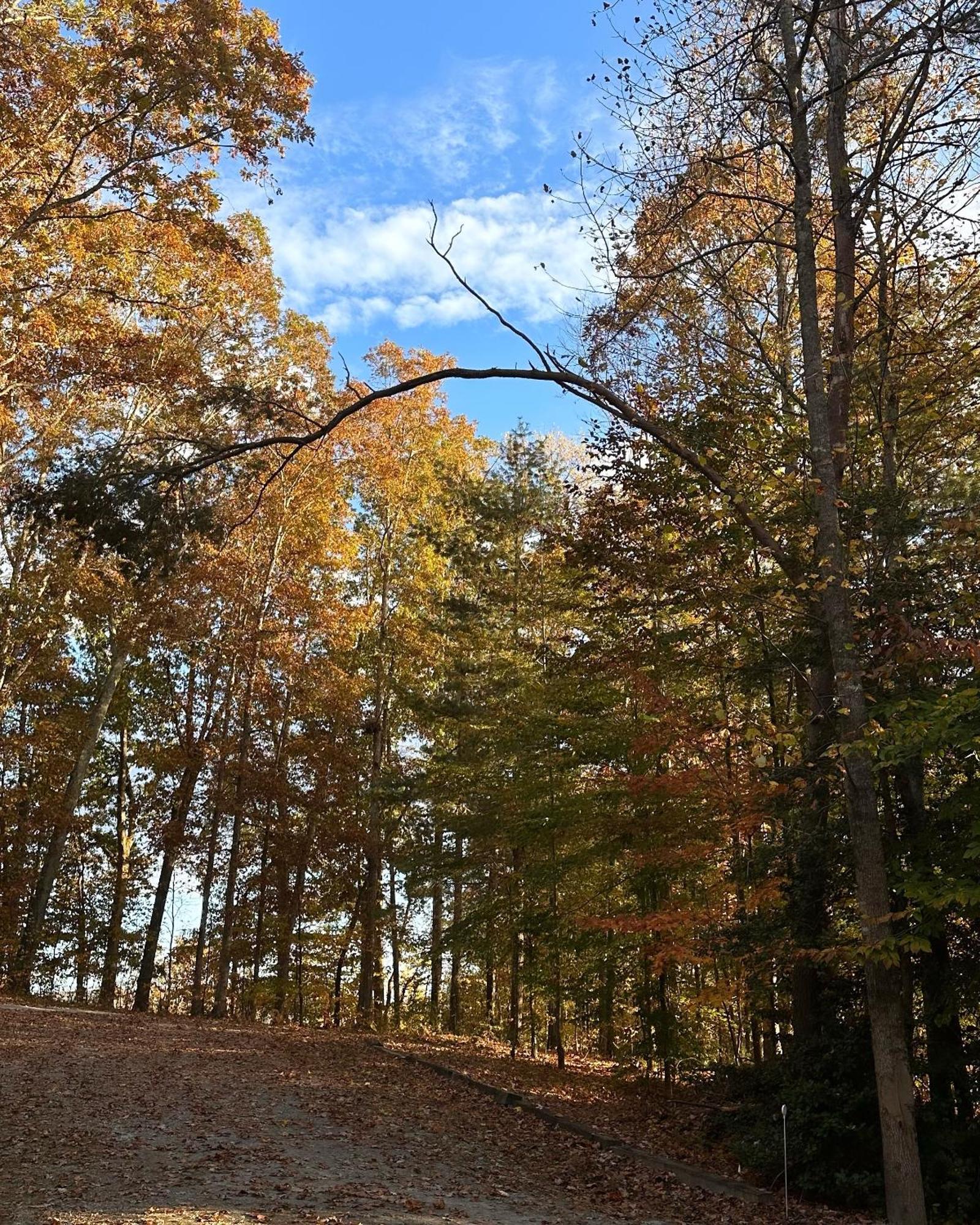 Appalachian Mountain Cabin-Updated-Private-Rafting On Ocoee River-Hiking-Waterfalls-Wifi-Pets Ok Мърфи Екстериор снимка