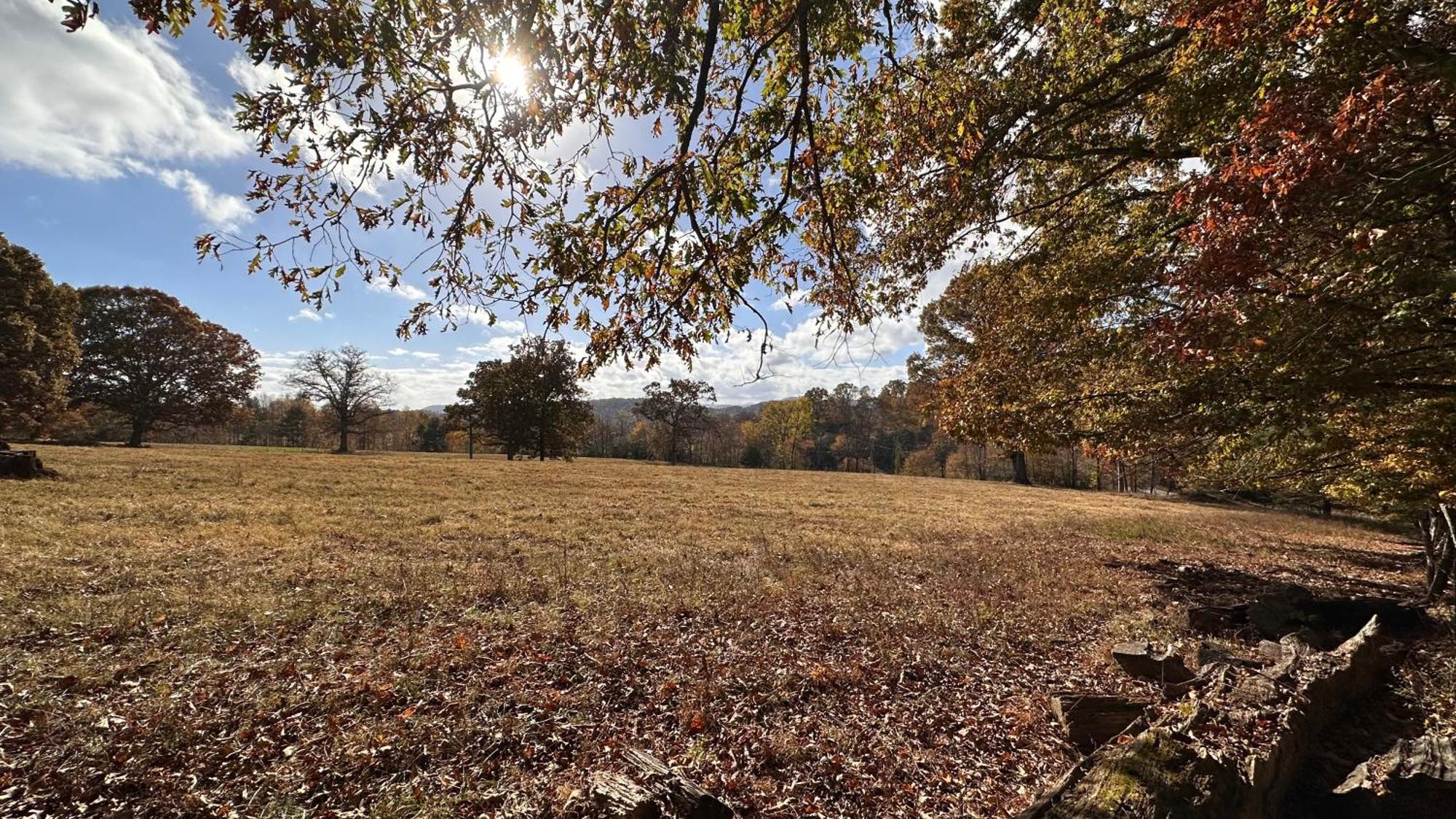 Appalachian Mountain Cabin-Updated-Private-Rafting On Ocoee River-Hiking-Waterfalls-Wifi-Pets Ok Мърфи Екстериор снимка